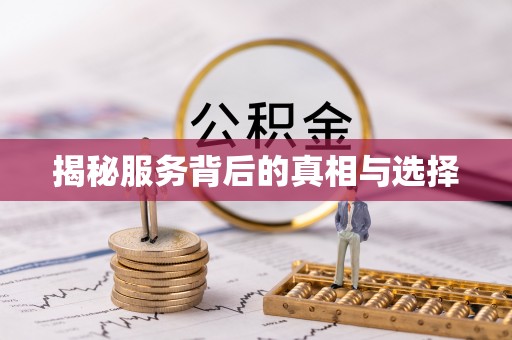 遂溪揭秘服务背后的真相与选择