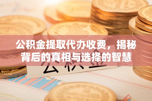 遂溪公积金提取代办收费，揭秘背后的真相与选择的智慧