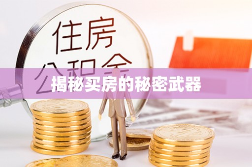 遂溪揭秘买房的秘密武器
