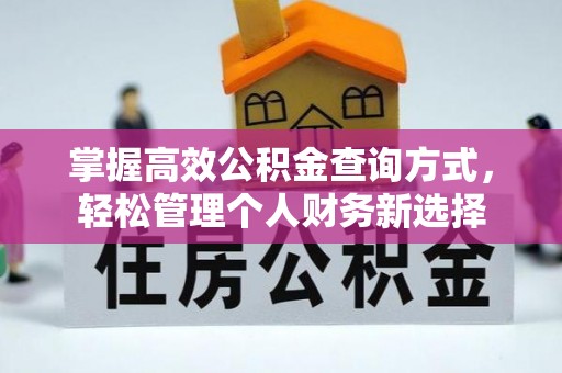 遂溪掌握高效公积金查询方式，轻松管理个人财务新选择