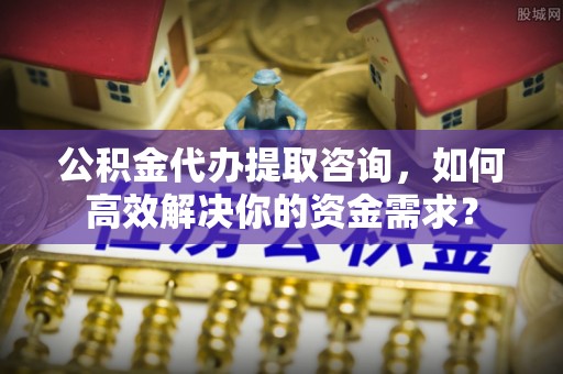 遂溪公积金代办提取咨询，如何高效解决你的资金需求？