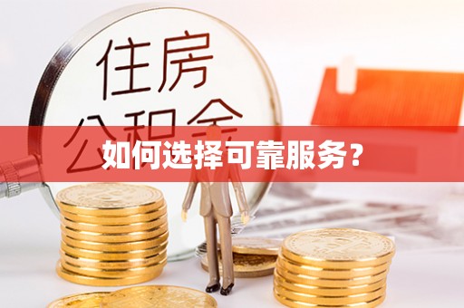 遂溪如何选择可靠服务？