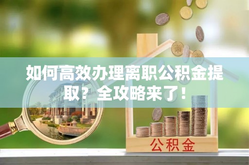 遂溪如何高效办理离职公积金提取？全攻略来了！