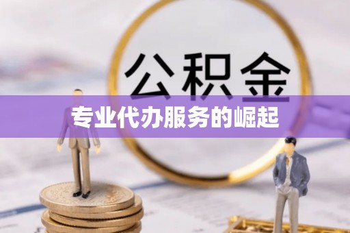 遂溪专业代办服务的崛起