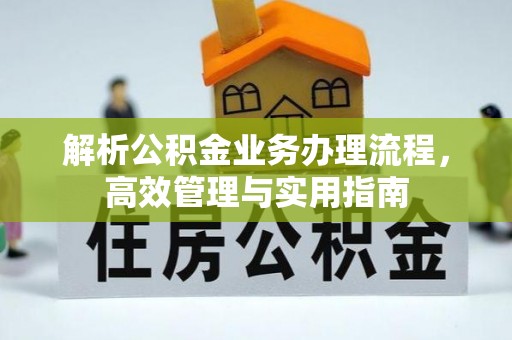 遂溪解析公积金业务办理流程，高效管理与实用指南