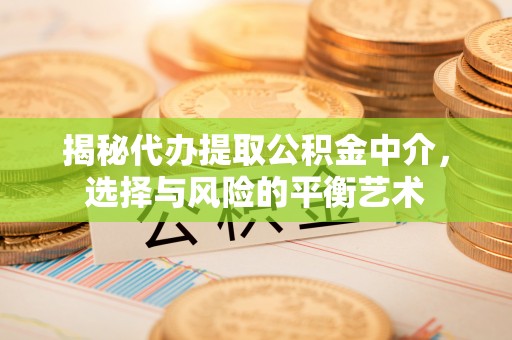 遂溪揭秘代办提取公积金中介，选择与风险的平衡艺术