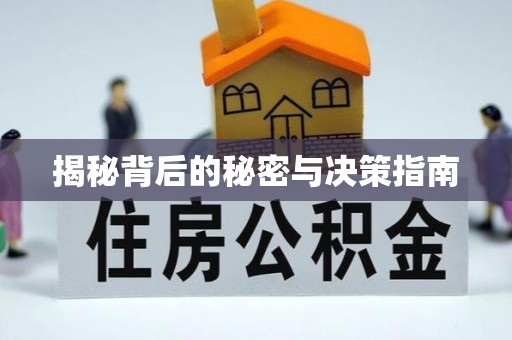 遂溪揭秘背后的秘密与决策指南