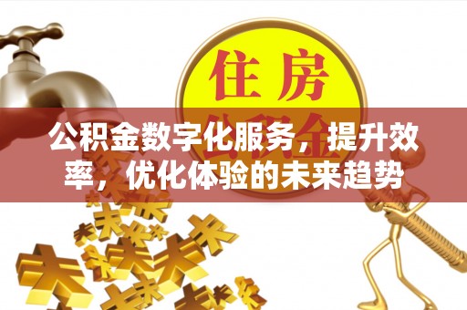 遂溪公积金数字化服务，提升效率，优化体验的未来趋势