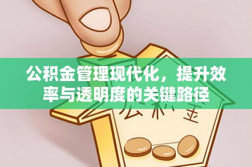 遂溪公积金管理现代化，提升效率与透明度的关键路径