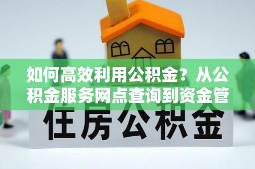 遂溪如何高效利用公积金？从公积金服务网点查询到资金管理全攻略