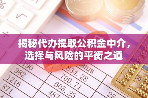 遂溪揭秘代办提取公积金中介，选择与风险的平衡之道