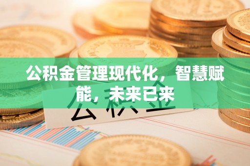 遂溪公积金管理现代化，智慧赋能，未来已来
