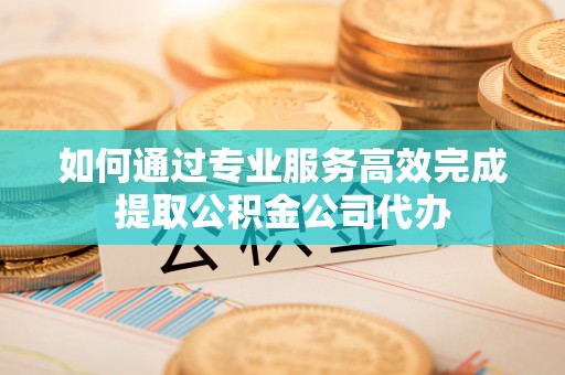 遂溪如何通过专业服务高效完成提取公积金公司代办