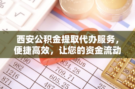 遂溪西安公积金提取代办服务，便捷高效，让您的资金流动更灵活