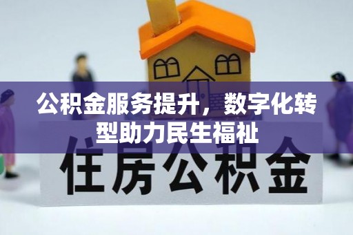 遂溪公积金服务提升，数字化转型助力民生福祉