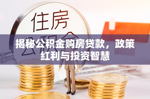 遂溪揭秘公积金购房贷款，政策红利与投资智慧