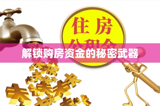 遂溪解锁购房资金的秘密武器