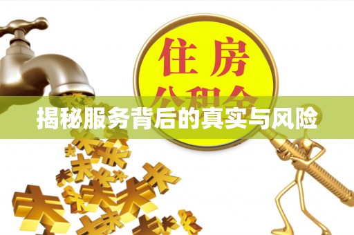 遂溪揭秘服务背后的真实与风险