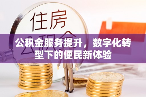 遂溪公积金服务提升，数字化转型下的便民新体验