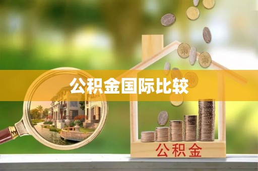 遂溪公积金国际比较