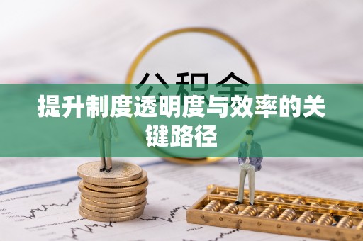 遂溪提升制度透明度与效率的关键路径