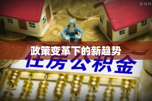遂溪政策变革下的新趋势