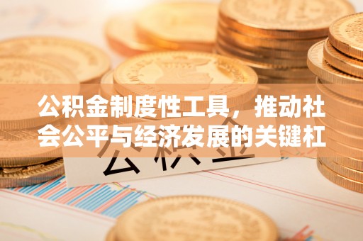 遂溪公积金制度性工具，推动社会公平与经济发展的关键杠杆