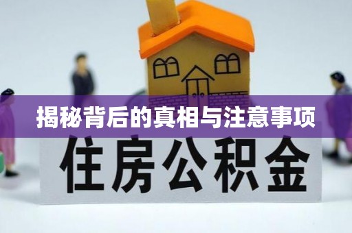 遂溪揭秘背后的真相与注意事项