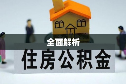 遂溪全面解析