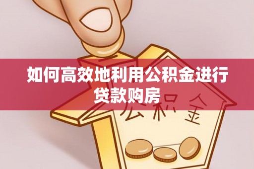 遂溪如何高效地利用公积金进行贷款购房