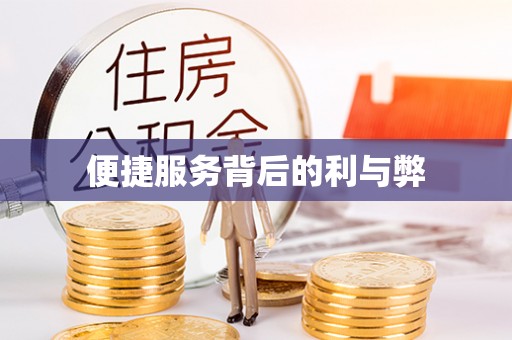 遂溪便捷服务背后的利与弊